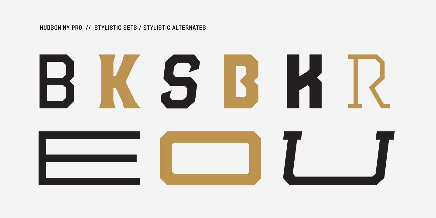Example font Hudson NY Pro Serif #7